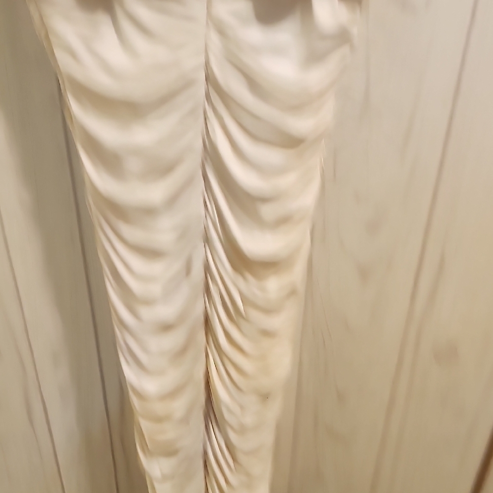 Cache Cream and Silver Backless Dress - Picture 8 of 11